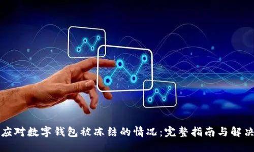 如何应对数字钱包被冻结的情况：完整指南与解决方案