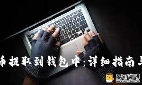 如何将数字货币提取到钱包中:详细指南与常见问题解答