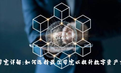 比特派带宽详解:如何选择最佳带宽以提升数字资产交易体验