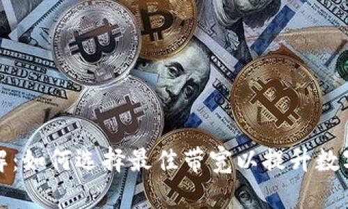 比特派带宽详解:如何选择最佳带宽以提升数字资产交易体验