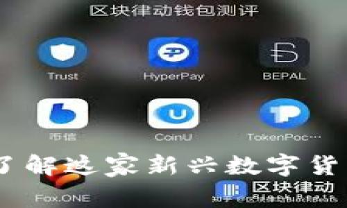 币coin:深入了解这家新兴数字货币公司的全貌