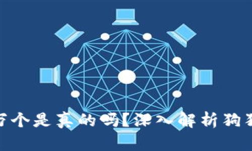 : 狗狗币一天挖十万个是真的吗？深入解析狗狗币挖矿的真实情况