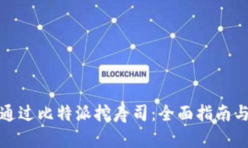 如何通过比特派挖寿司：全面指南与技巧