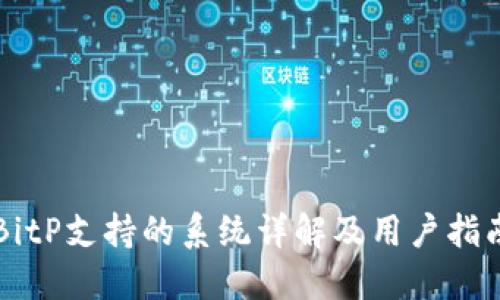 BitP支持的系统详解及用户指南