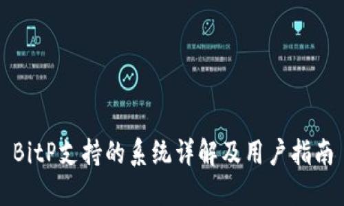 BitP支持的系统详解及用户指南