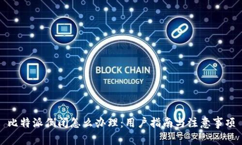 比特派倒闭怎么办理:用户指南与注意事项