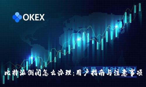 比特派倒闭怎么办理:用户指南与注意事项