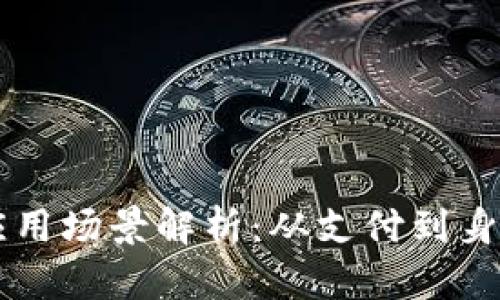 区块链钱包对接应用场景解析：从支付到身份验证的多重应用