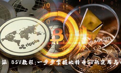 B特派 BSV教程:一步步掌握比特币SV的使用与开发