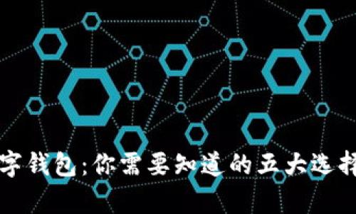 全球最安全数字钱包：你需要知道的五大选择与安全性分析