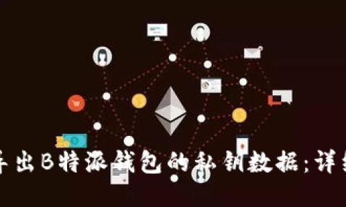 如何导出B特派钱包的私钥数据：详细指南