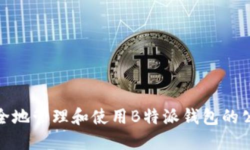 如何安全地管理和使用B特派钱包的公链地址