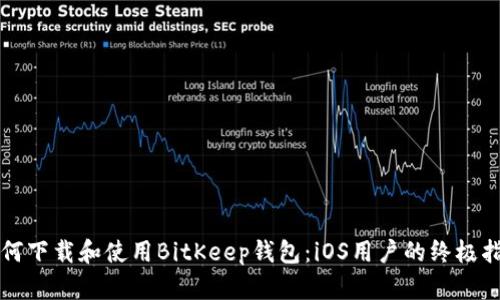 如何下载和使用BitKeep钱包:iOS用户的终极指南
