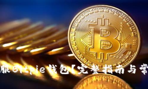如何联系客服Bitpie钱包?完整指南与常见问题解答