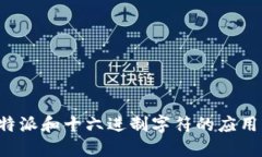 深入探讨B特派和十六进制