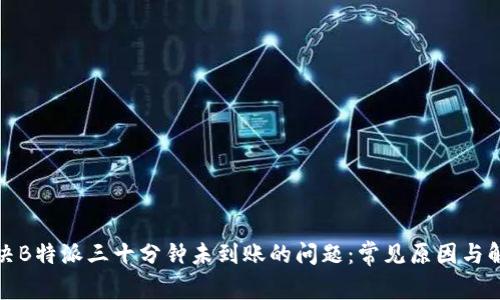 如何解决B特派三十分钟未到账的问题：常见原因与解决方案