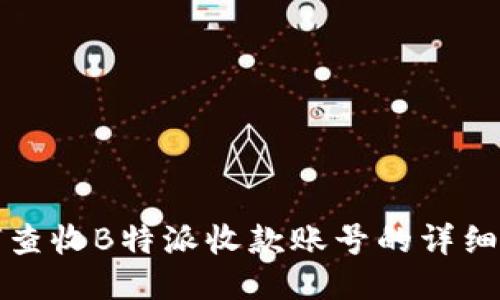 如何查收B特派收款账号的详细指南