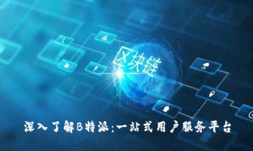 深入了解B特派：一站式用户服务平台