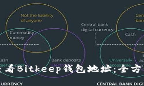 如何查看Bitkeep钱包地址:全方位指南