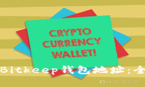 如何查看Bitkeep钱包地址:全方位指南