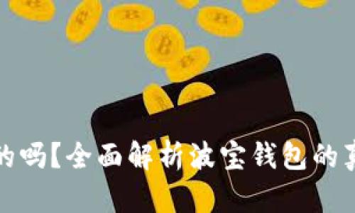 波宝钱包是真的吗?全面解析波宝钱包的真实性及安全性