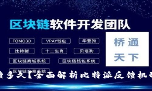: 比特派反馈多久？全面解析比特派反馈机制及响应时间