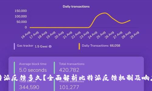 : 比特派反馈多久？全面解析比特派反馈机制及响应时间