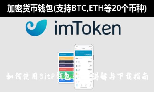 如何使用BitP钱包：视频讲解与下载指南