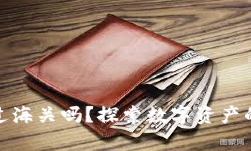 : 区块链钱包能过海关吗?探索数字资产的出入境法律问题
