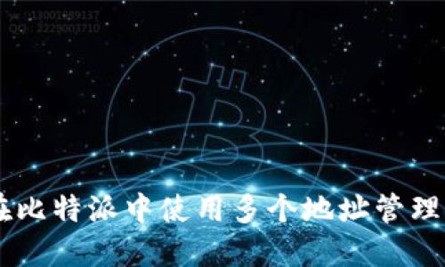 如何在比特派中使用多个地址管理USDT？