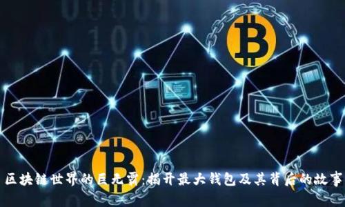 区块链世界的巨无霸:揭开最大钱包及其背后的故事