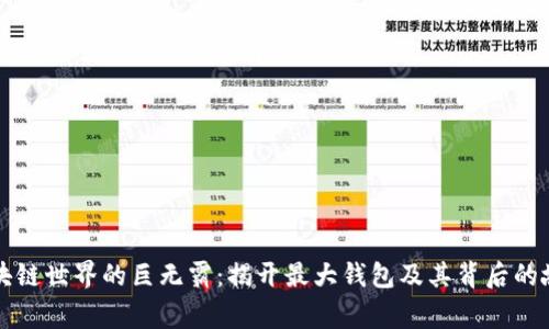区块链世界的巨无霸:揭开最大钱包及其背后的故事