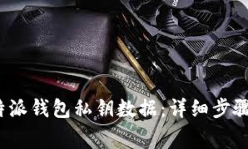 如何导入b特派钱包私钥数据：详细步骤与注意事项