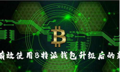 如何有效使用B特派钱包升级后的新功能