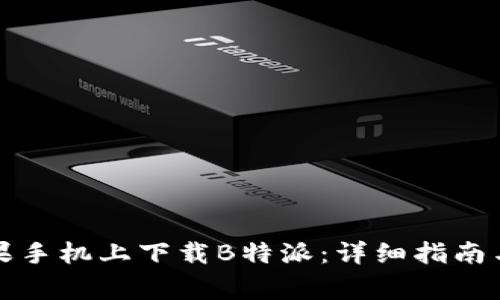 如何在国行苹果手机上下载B特派:详细指南与常见问题解答