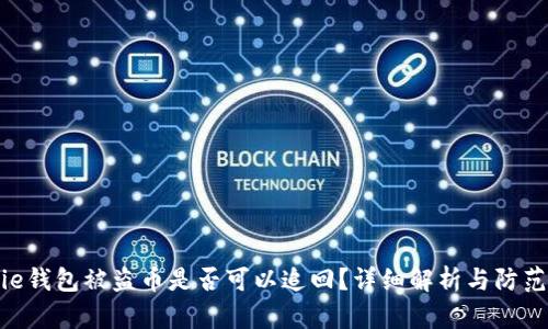 Bitpie钱包被盗币是否可以追回?详细解析与防范措施