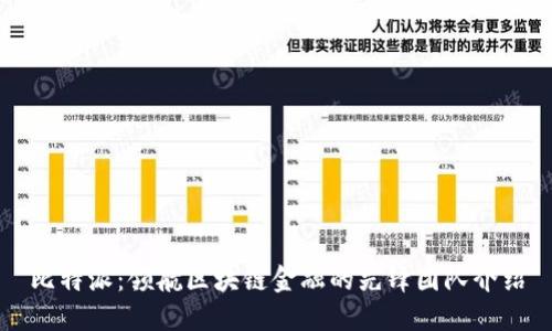 比特派：领航区块链金融的先锋团队介绍