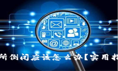 数字货币交易所倒闭应该怎么办?实用指南与应对策略