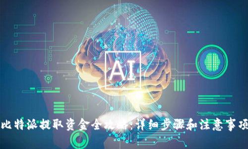 比特派提取资金全攻略:详细步骤和注意事项