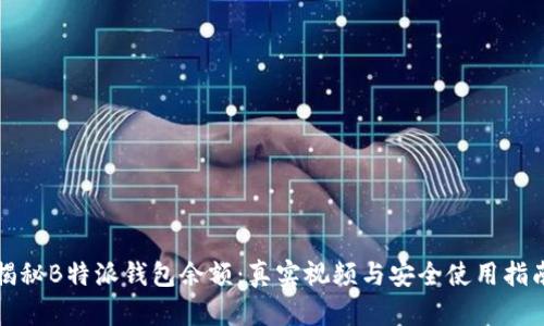 揭秘B特派钱包余额：真实视频与安全使用指南
