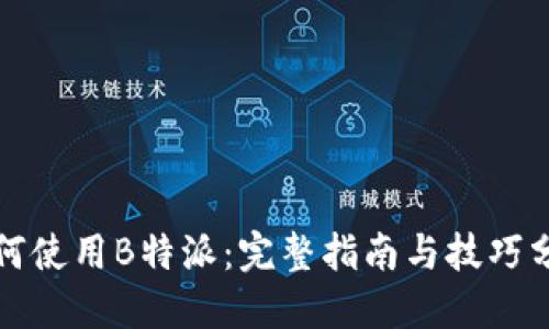 如何使用B特派:完整指南与技巧分享