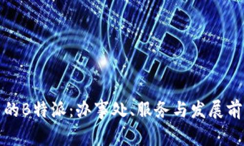 在中国的B特派:办事处、服务与发展前景解析