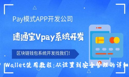 BitP Wallet使用教程：从设置到安全管理的详细指南
