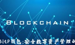 深入了解BitP钱包：安全数