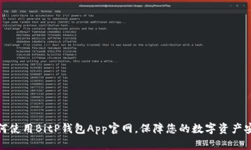如何使用BitP钱包App官网,保障您的数字资产安全