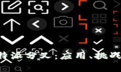 深入解析B特派分叉：应用