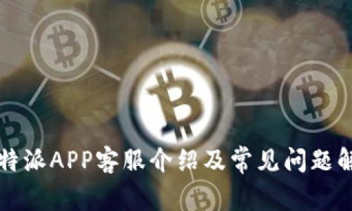 比特派APP客服介绍及常见问题解答