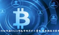 2023年如何在Bitpie钱包中购