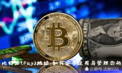 全面了解比特派(Pay)地址：