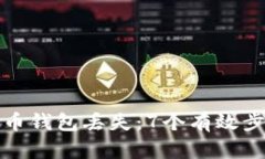 如何应对虚拟币钱包丢失